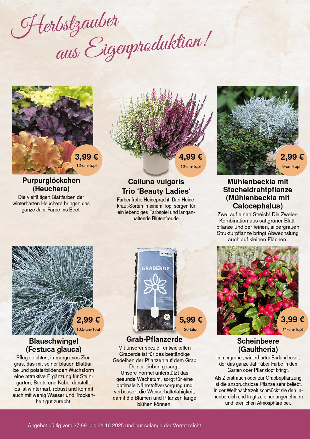 Betz_Herbst_2025_Web2